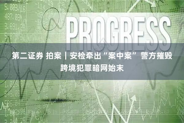 第二证券 拍案｜安检牵出“案中案” 警方摧毁跨境犯罪暗网始末