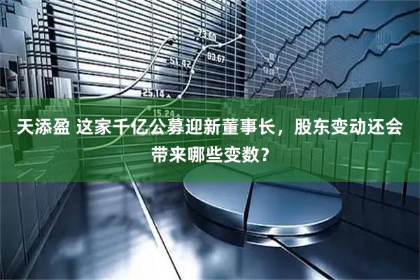 天添盈 这家千亿公募迎新董事长，股东变动还会带来哪些变数？