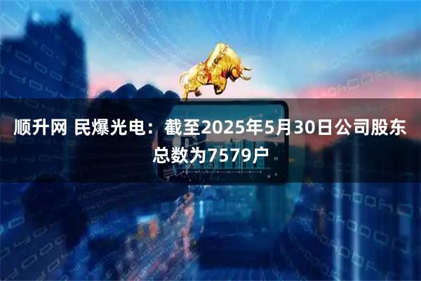 顺升网 民爆光电：截至2025年5月30日公司股东总数为7579户