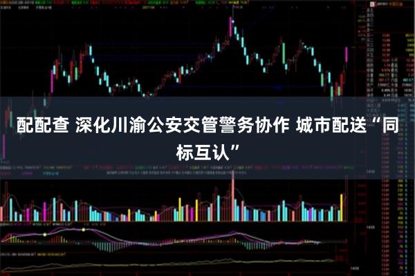 配配查 深化川渝公安交管警务协作 城市配送“同标互认”